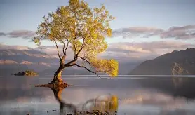 资本也能娱乐化，互联网金融跨界娱乐不扯淡