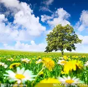 一个创业家对妻子的深夜告白