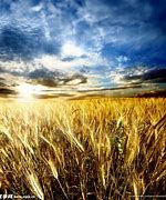 实战告诉你，社会化营销中如何做可传播的内容？