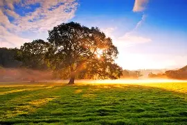 透过QQ空间看95后的社交需求