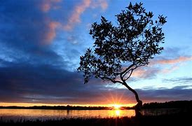 香哈网田金涛：菜谱+社区“剑指”厨房 用户近200万