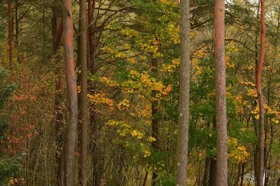 90%的互联网公司会死于资本寒冬，谁会是剩下的10%