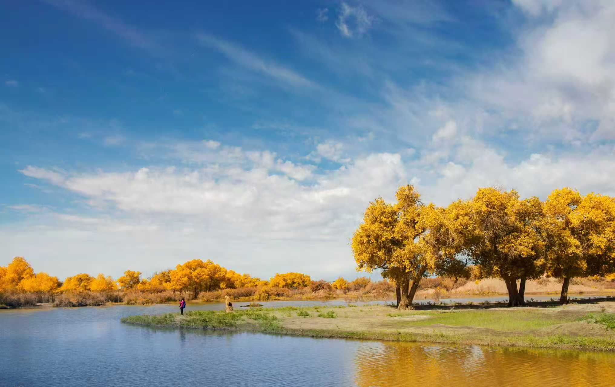 《速腾汽车美容公司》创业计划书分享