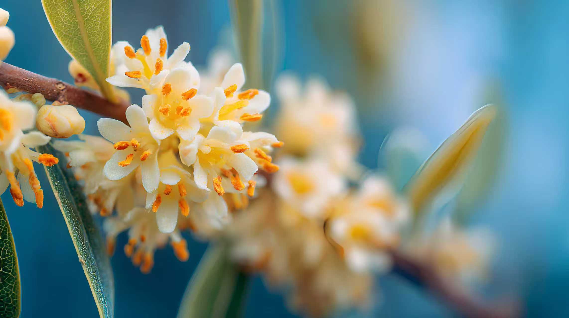 从哪几个方面判断你拿到的是个好的offer?