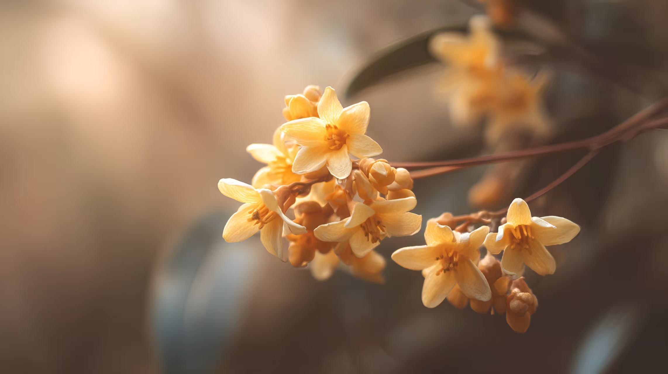 毕业生如何落户北京、上海