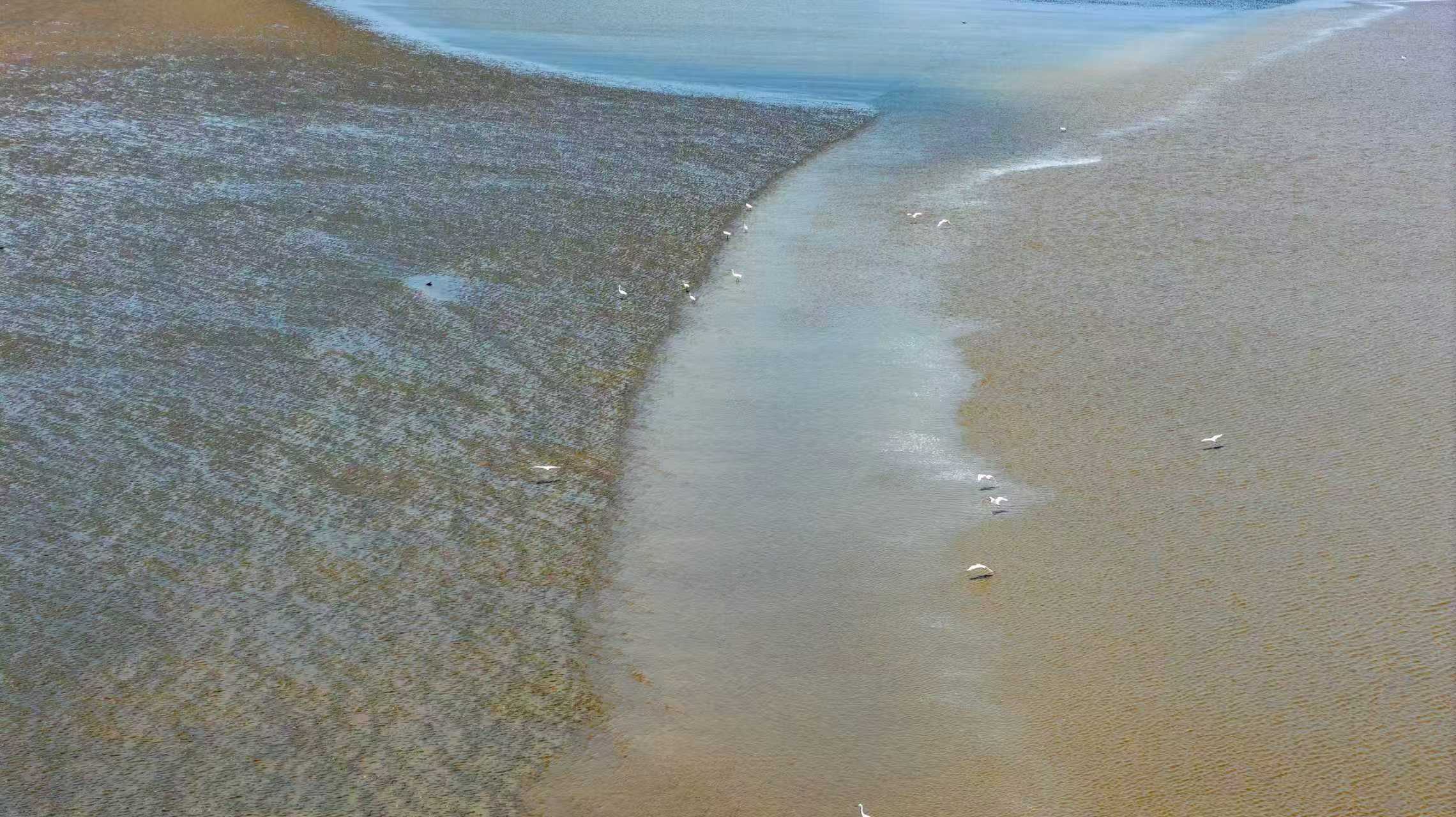 浙江海洋学院陆世文：用高校沃土创业 电商创业年营业额数百万