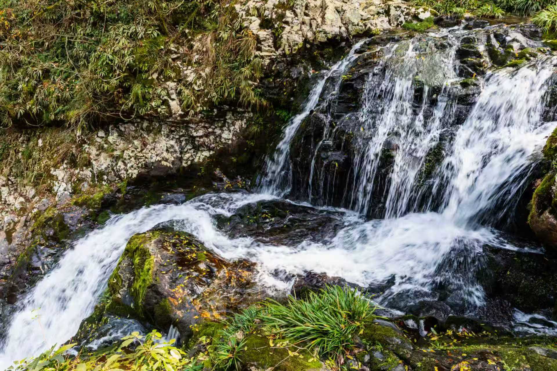 礼物导购平台新玩法 利用朋友圈完成众筹