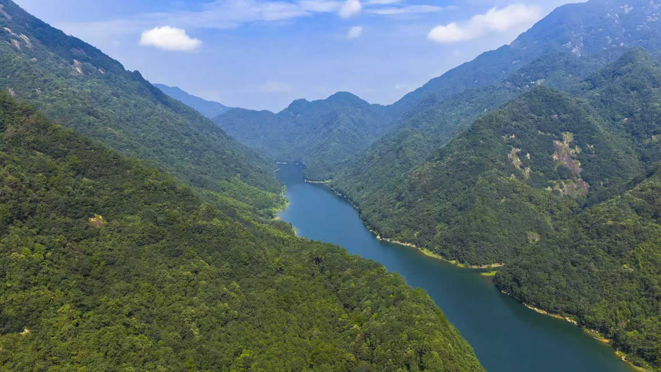 刘旷：国内图片电商正在崛起，全景微图或成突破口