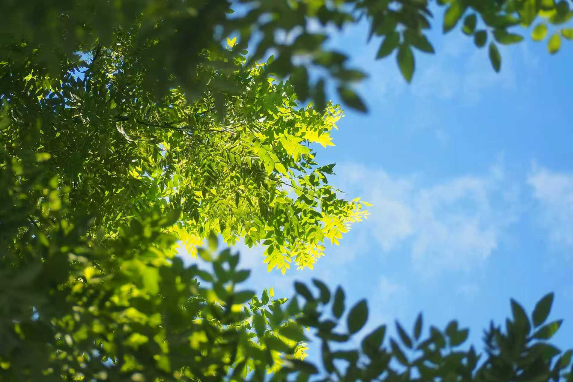 80后美女吴信行：卖“声”创业之路 与公益并行