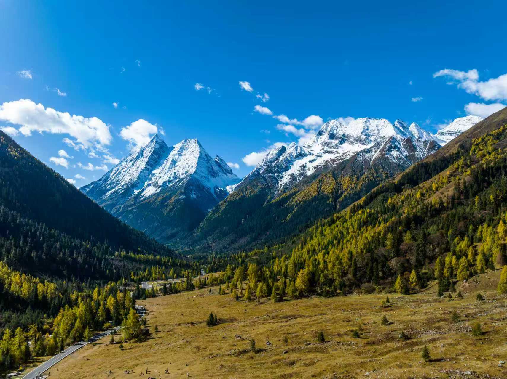 校园招聘面试心得与总结---BAT、网易、蘑菇街