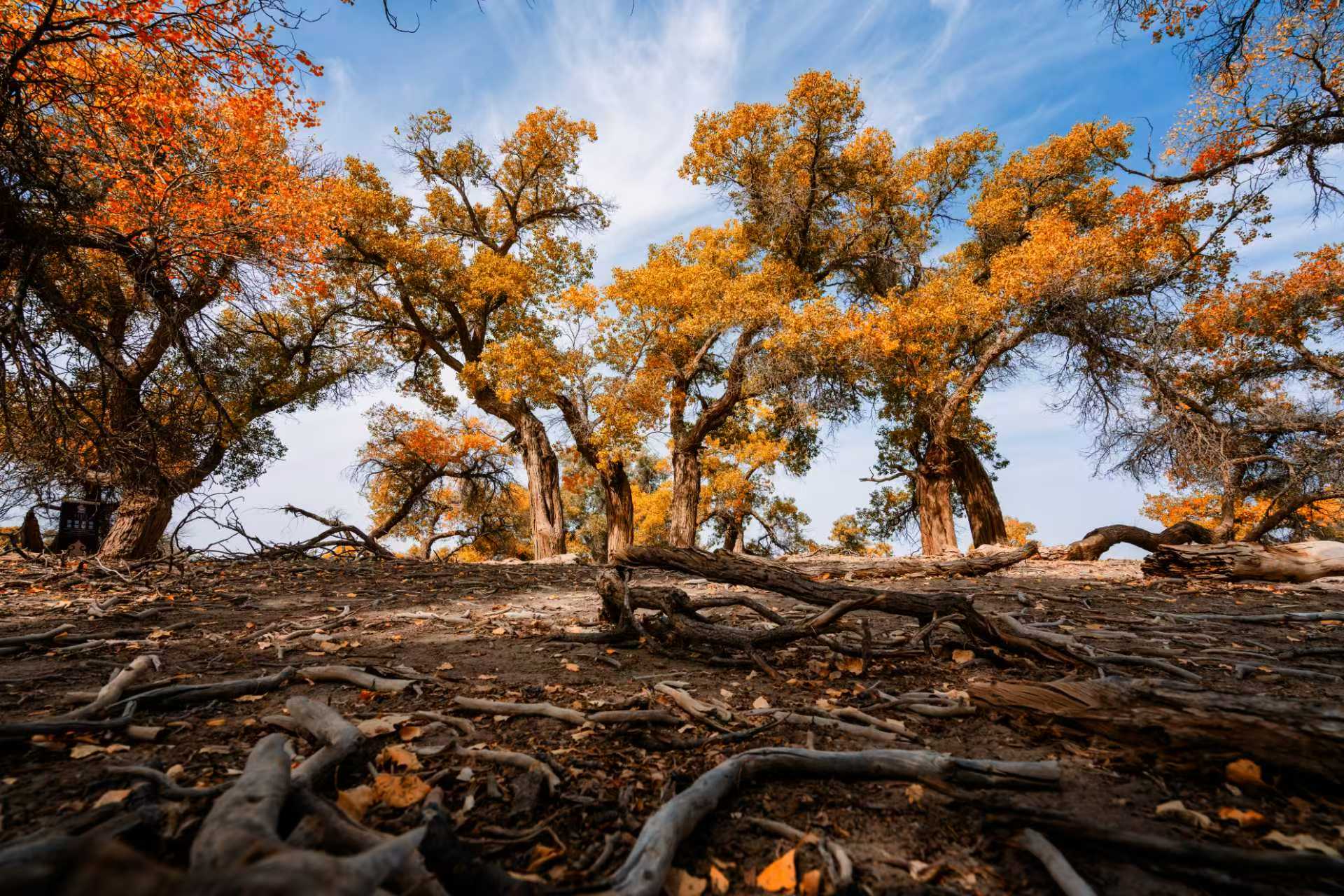 解密八个经典面试提问，帮你拿下offer