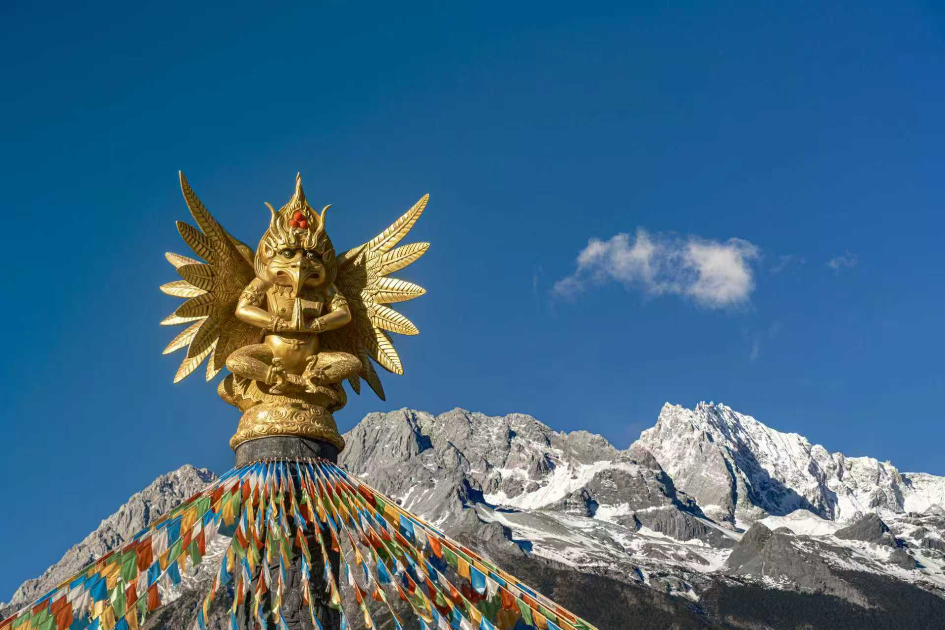 生鲜电商O2O：给菜品买保险，员工吃胖算工伤