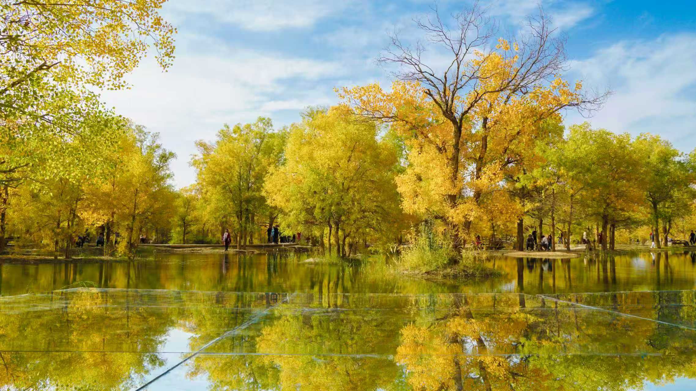 同款社区“See”CEO万旭成：学霸大一休学创业，半年自学编程，年入数十万