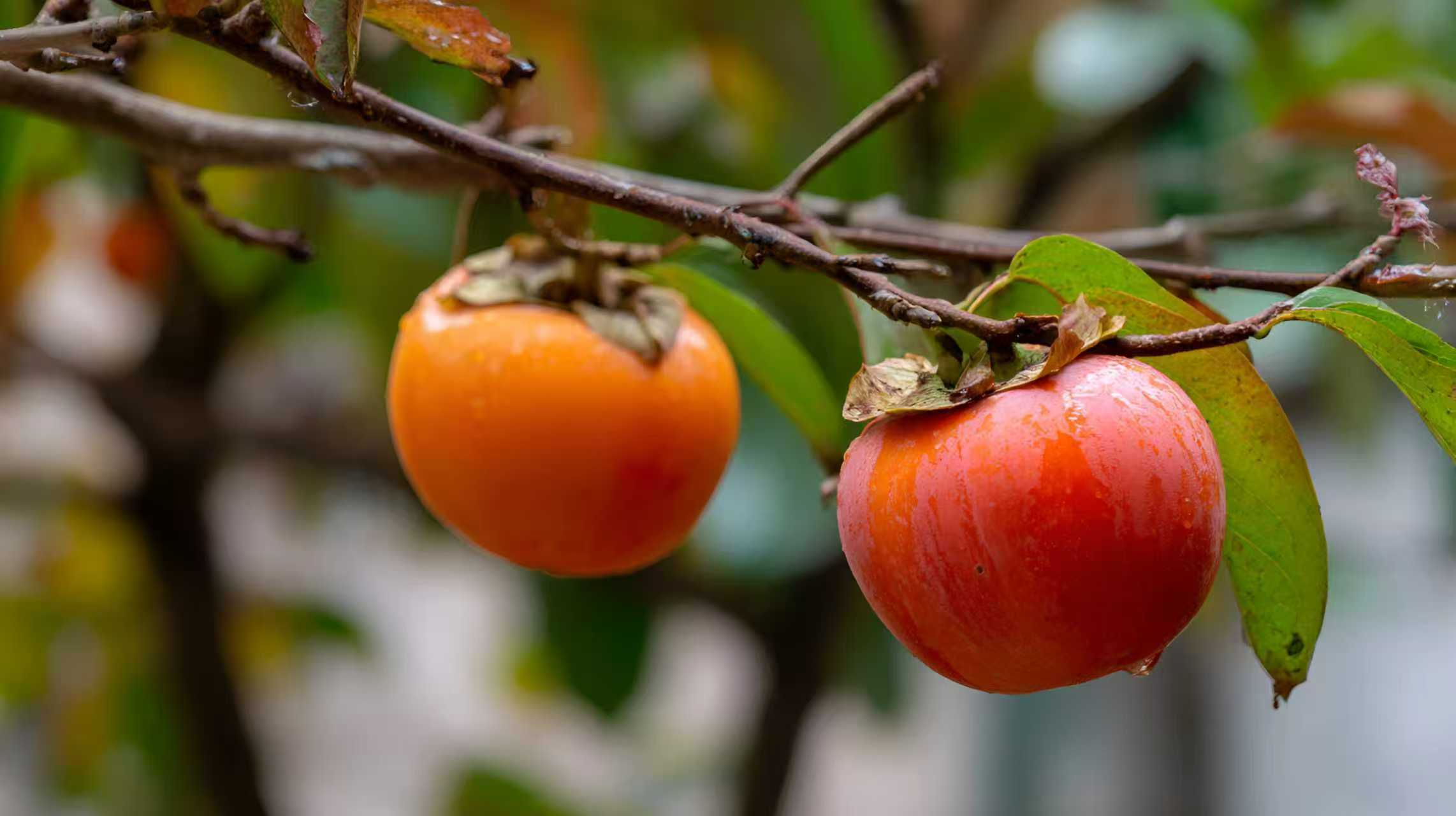 罗列12道面试难题和回答方法