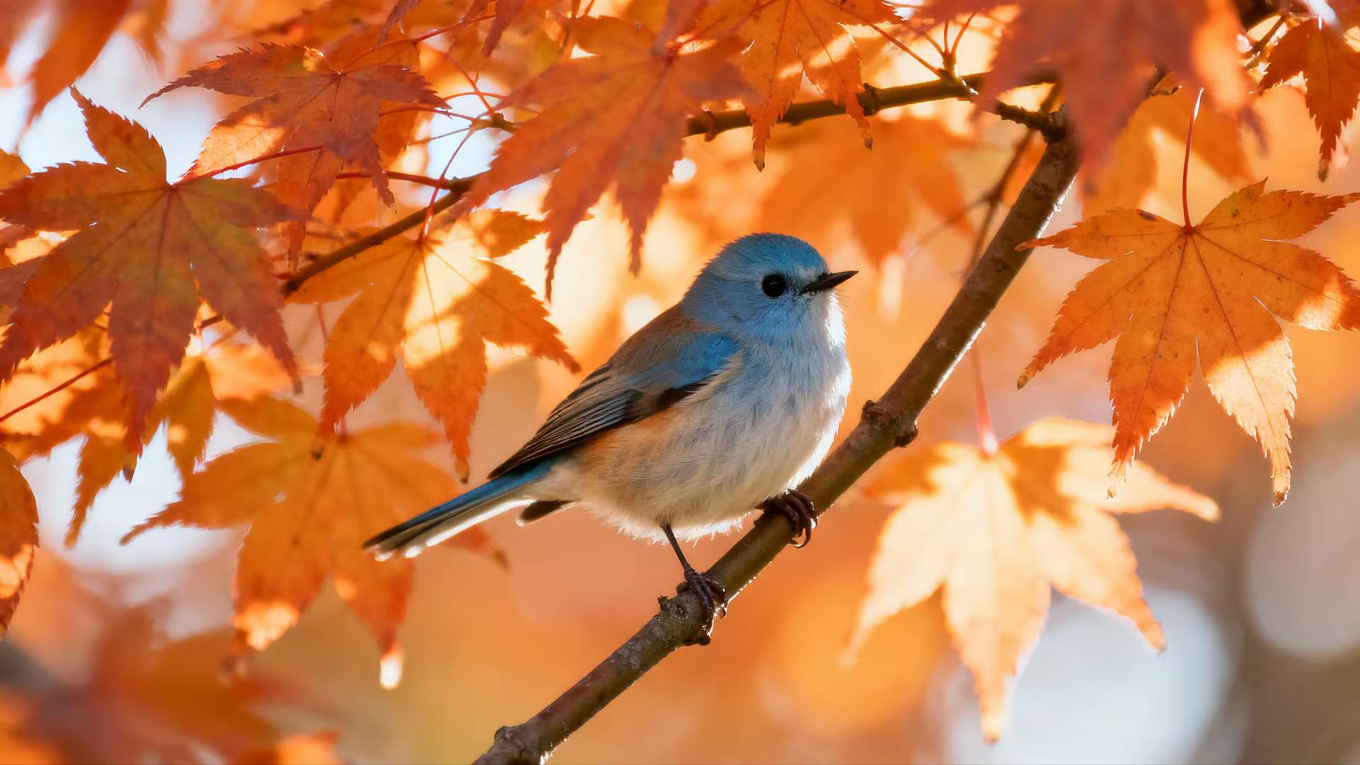 2016年公务员面试高分经验：面试成功的3大法则