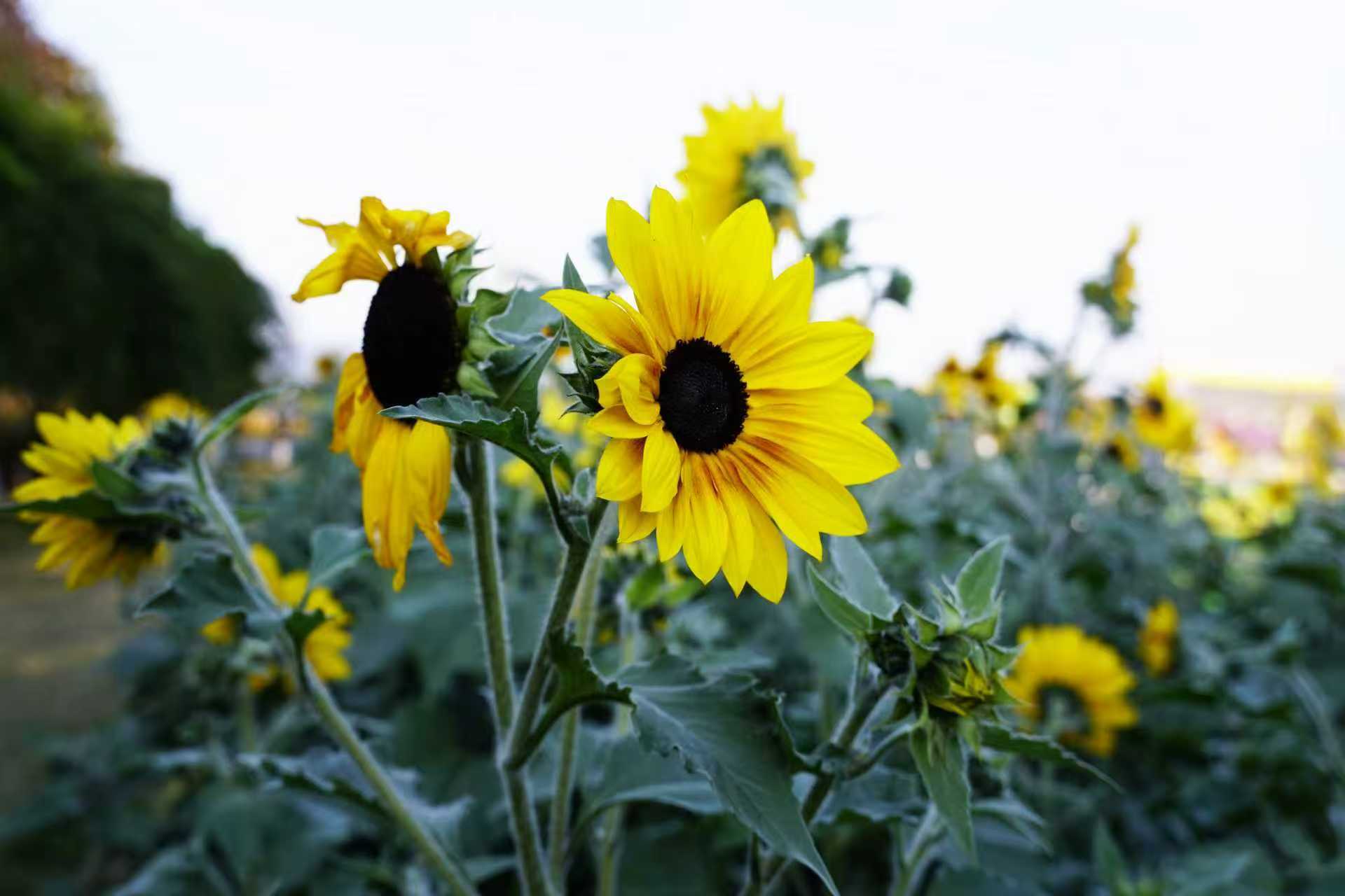 职场修炼手册：千万不要这样做