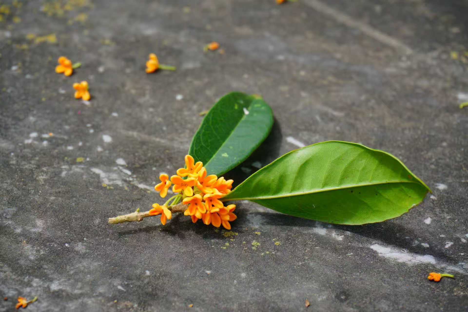 80后海归做了款APP，只为了解决“女朋友跟妈妈同时掉水里先救谁”这个问题