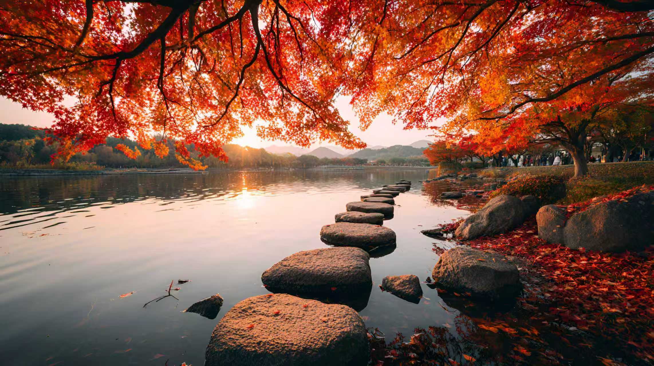 压力面试：职场小菜鸟面试遭遇老油条